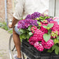 ✨Sista dagen 49% OFF - Konstgjorda hortensiablommor för utomhusbruk💐