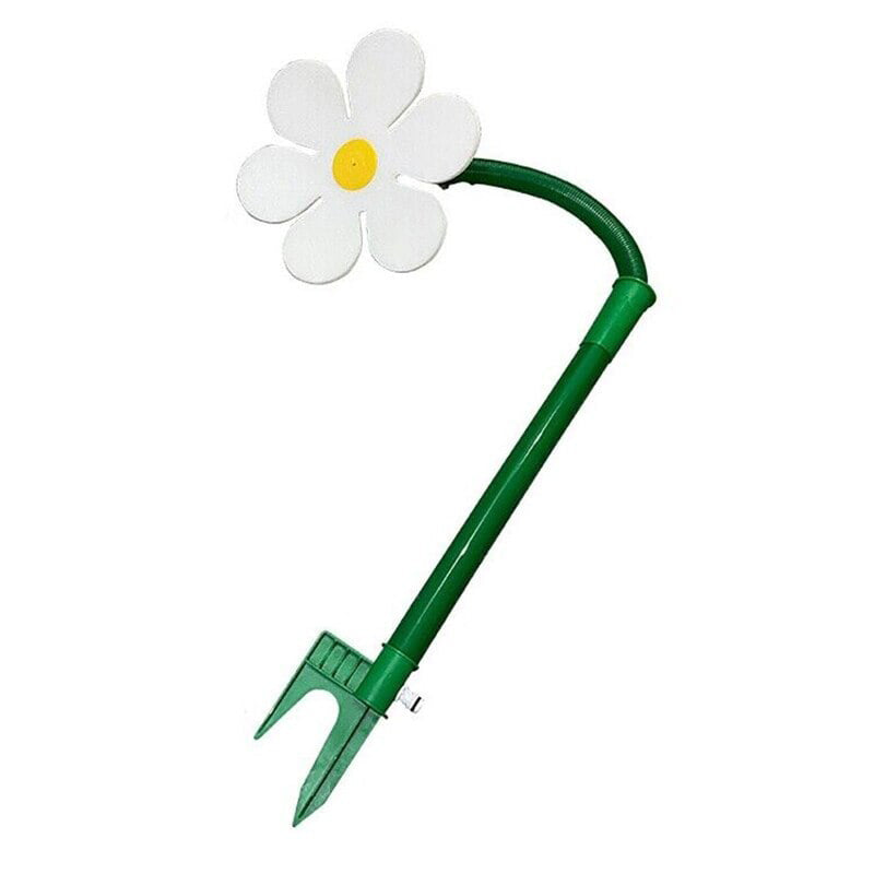 Rolig Dansande Blomma Trädgård Gräsmatta Sprinkler